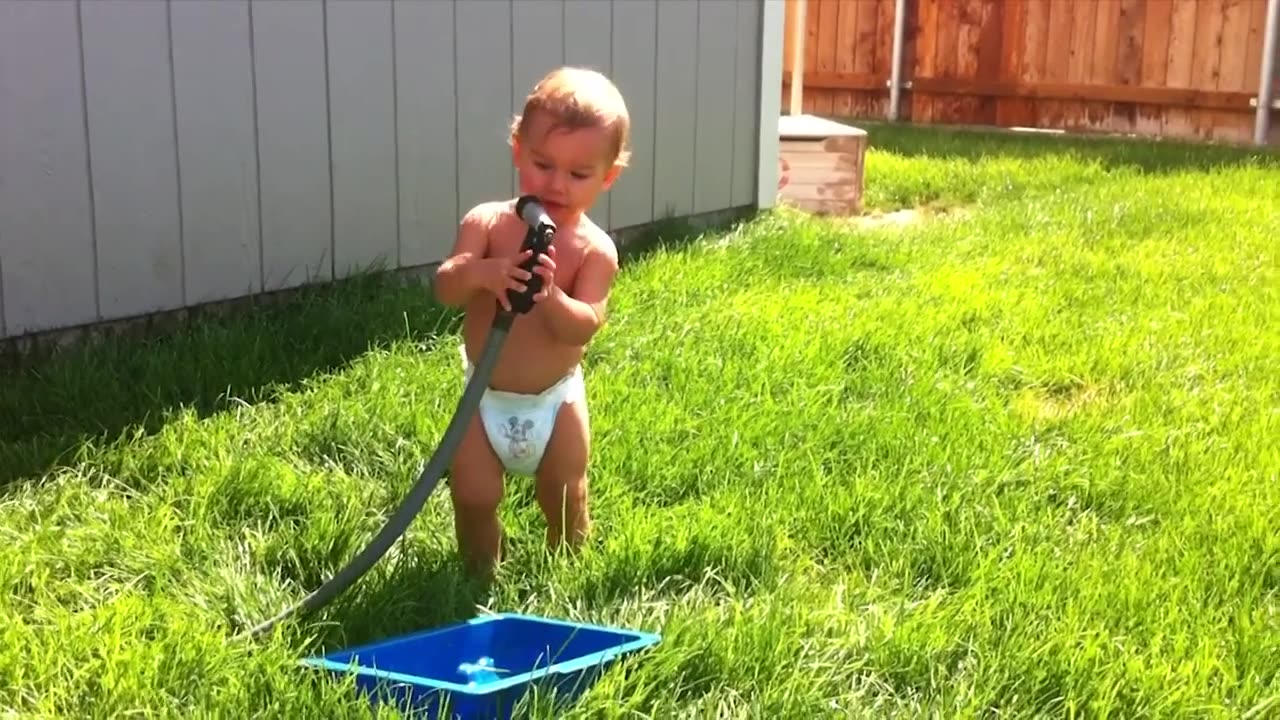 Funny baby videos