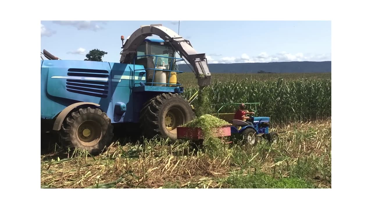 Where there is help, there is hope