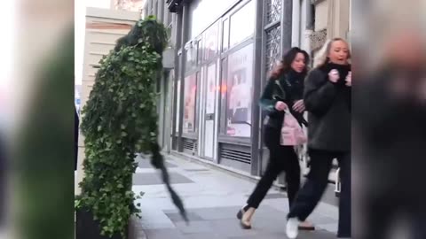 Bushman Prank- {Scaring People with Perfect Camouflage} So Scared -- Bushman prank