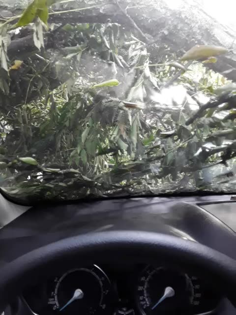 This ain't never anything you want to see