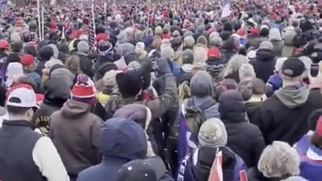 Jan 6, 2020 Stop the Steal March