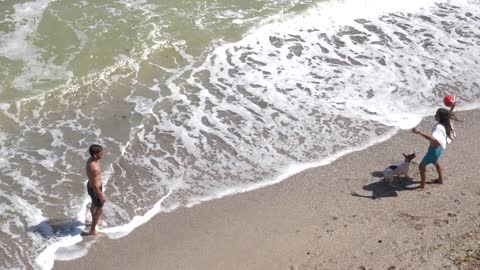 Playing ball with the dog on the beach