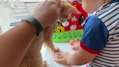 A Cute Baby Playing with His Toys and Cat