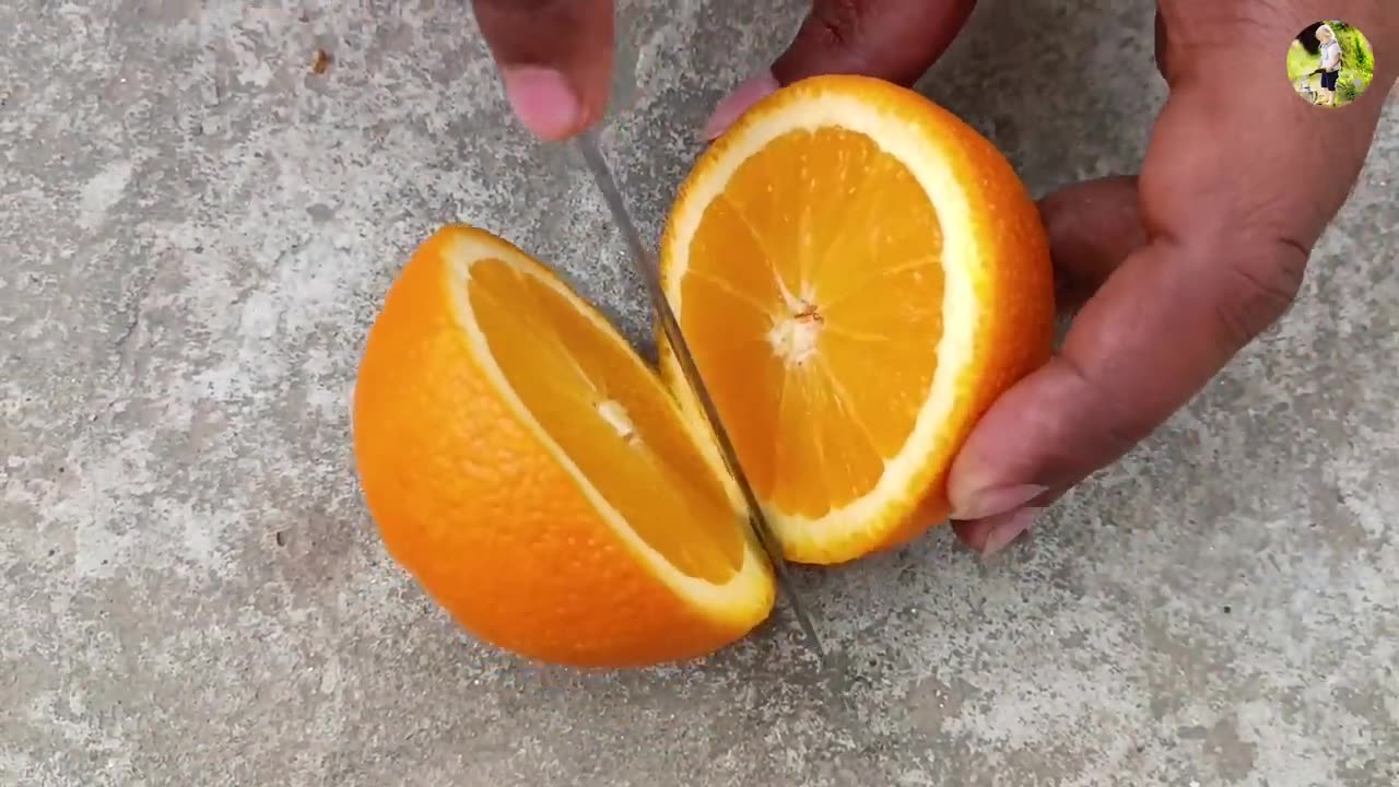 Grow your own orange tree