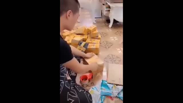 DOG HELPING THE OWNER TO PACK