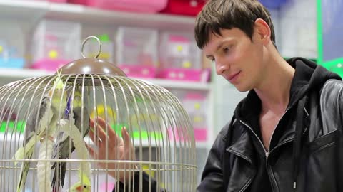 Customer choosing a parrot in a pet store