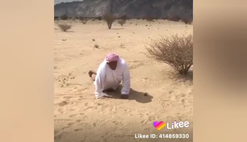 Arab need jumping