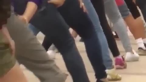Dog 🐕