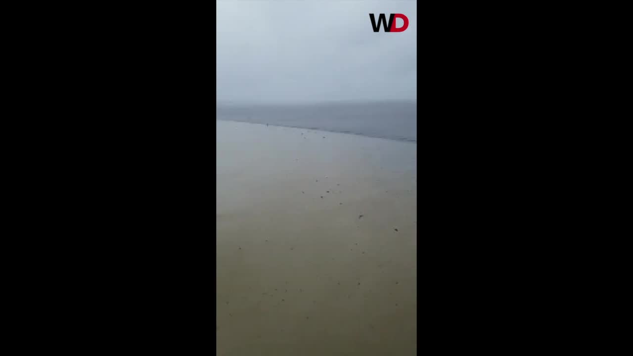 Florida's Charlotte Harbor Ocean Disappears