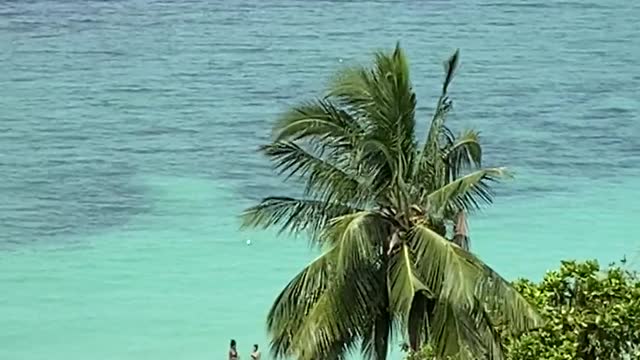 video footage of a beach