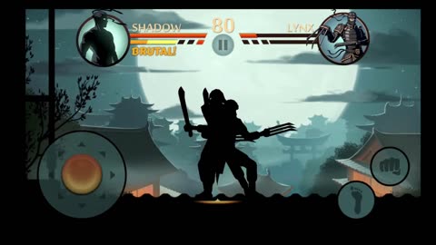 Shadow fight 2