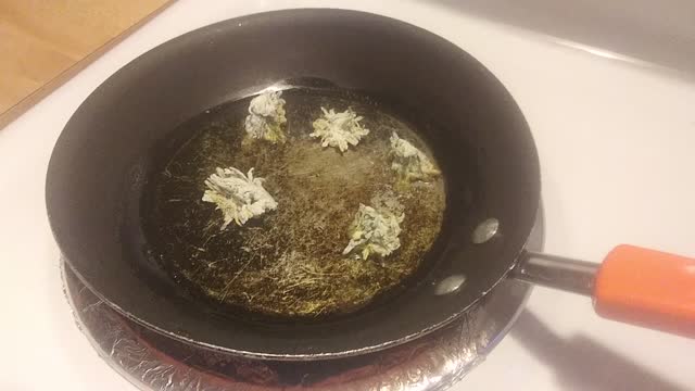 Harvesting, and cooking dandelion flower