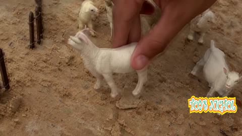 Eight Goats Together in One Cage Made of Tree Branches