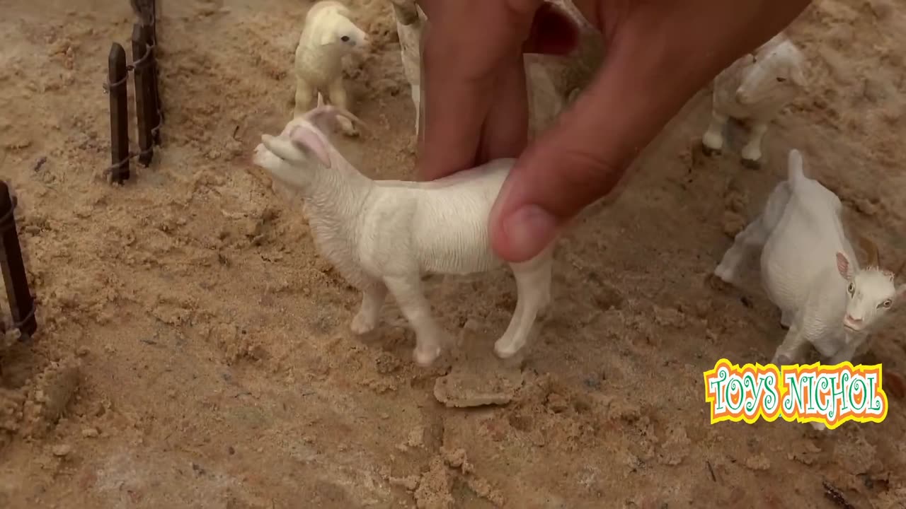 Eight Goats Together in One Cage Made of Tree Branches