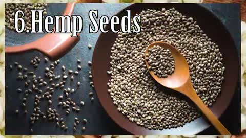 Top Ten Protein Food