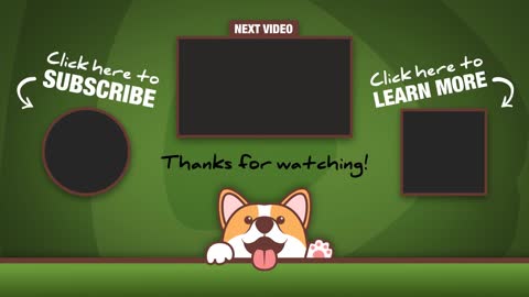 Yorkie and truffy play a very cute games