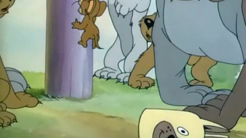 TOM N JERRY 016 Puttin' on the Dog [1944]