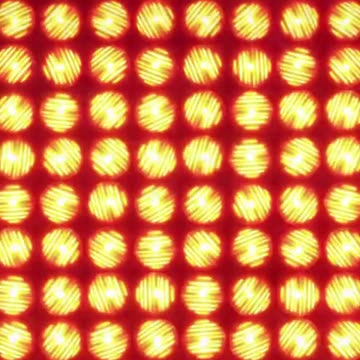 Grapes contain many important vitamins and minerals, including copper and vitamins B and K.