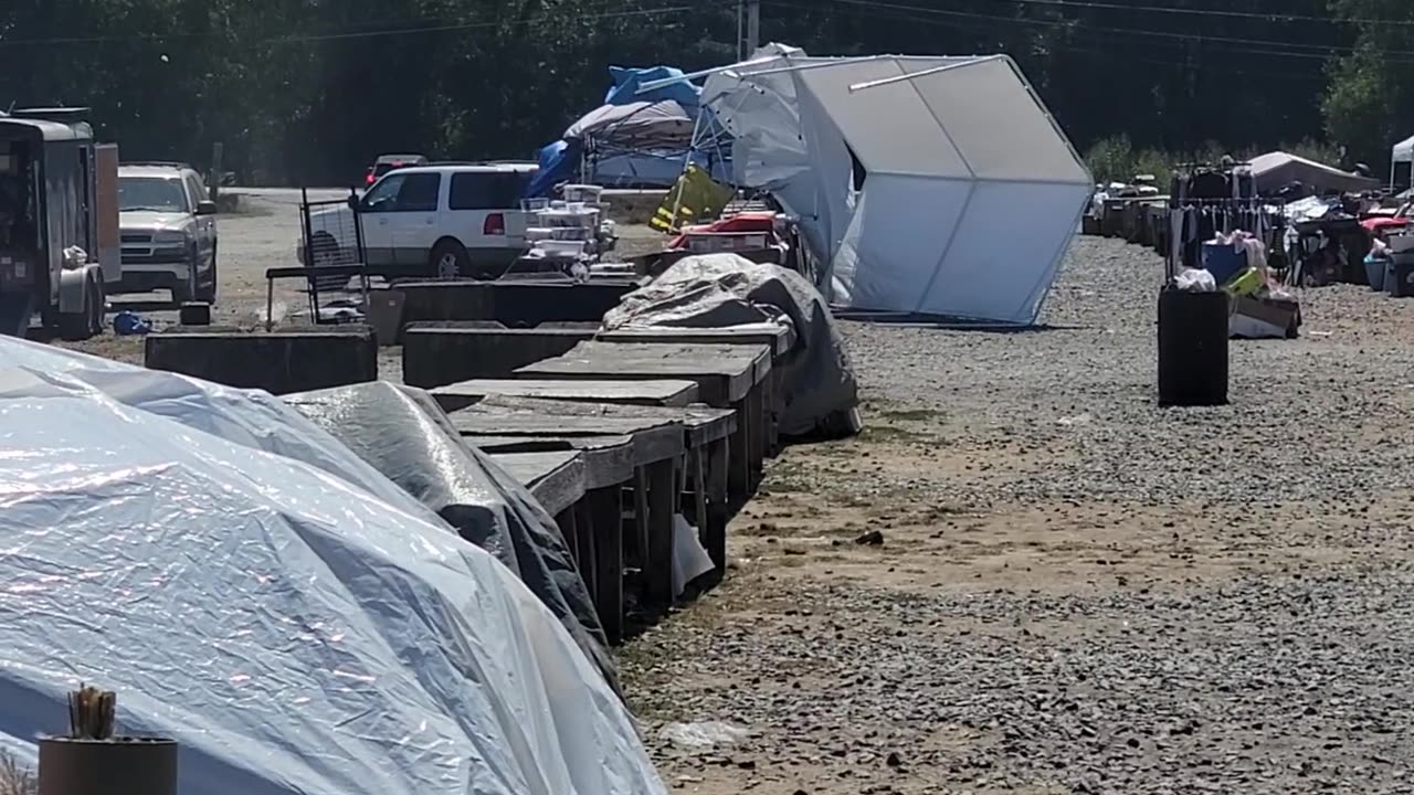 Dust Devil Disrupts Flea Market