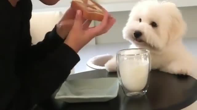 I want to eat, too. How about I have some?