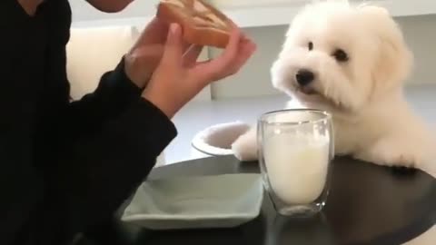 I want to eat, too. How about I have some?