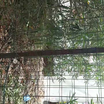 Parco giochi Ostia Lido Centro