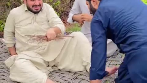 Funny video