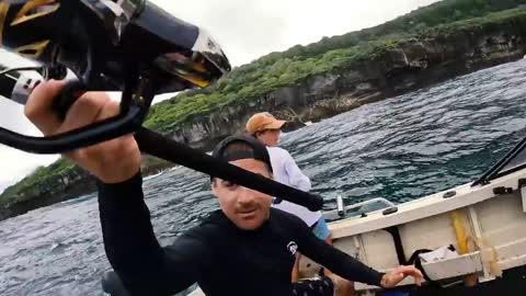 Those Coconut Crabs Actually Look Cold
