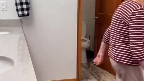 Funny videos