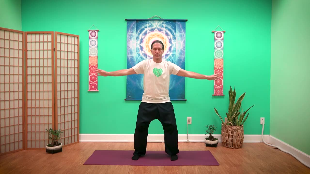 5 Elements Qigong: WATER Energy (Kidney & Bladder)