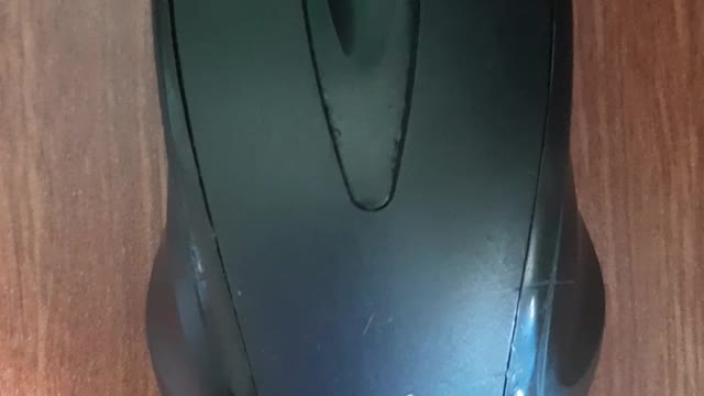 The mouse