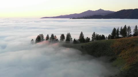 The "Paradisiacal" Feeling when Drone Captures Heavenly footage of Natures Beauty