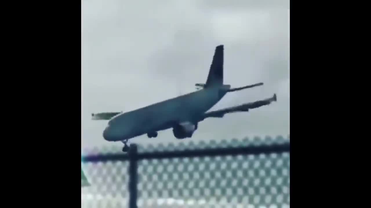 .That's the best pirate I've ever seen.