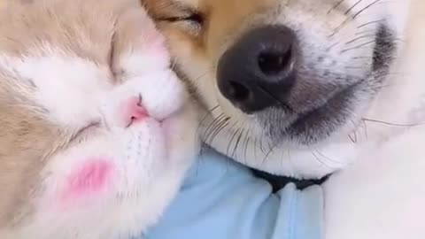 OMG !! Love Each Other