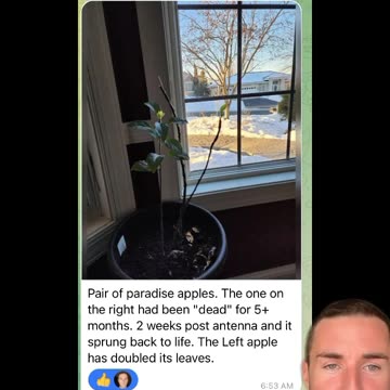 Electro cultivation indoors