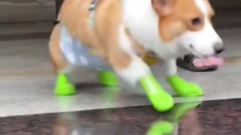 This is slippery feet 😅🤣