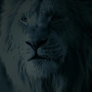 New year, new beginning, hello 2024!