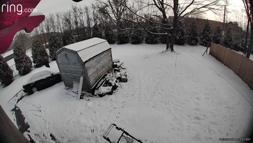 Man Slips on Patch of Ice