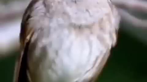 🙏❤️🎉🎉🎉🎊🎊🎊️SWEET AND FUNNY ANIMALS SHOTS 🙏❤️❤️🎉🎉🎉🎊🎊🎊