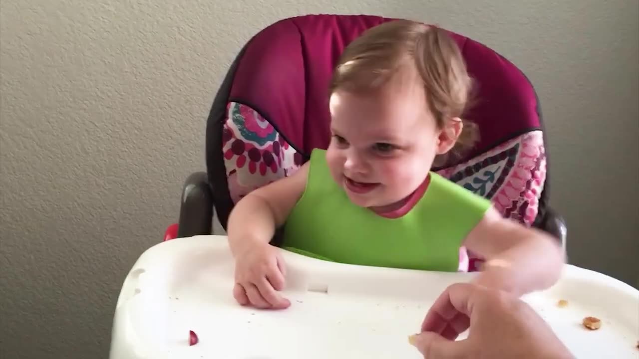 Funny babies laughing