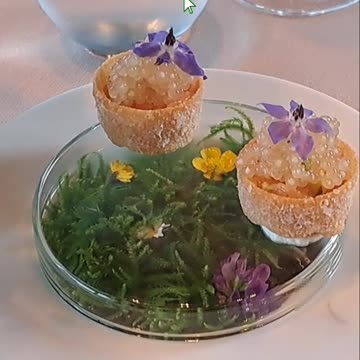 Seestern 1* MICHELIN Sneak Preview Nr.1 #luxurylifestyle #michelinstar #finedining