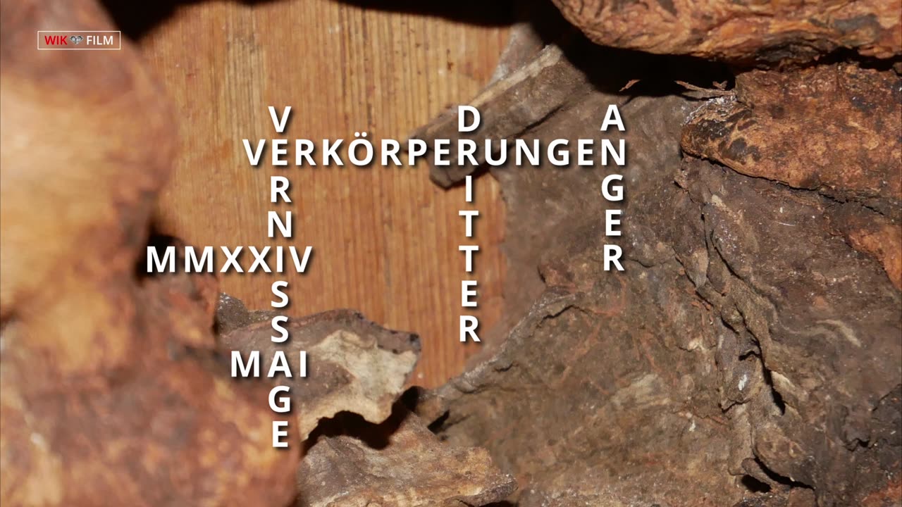 Verkörperungen