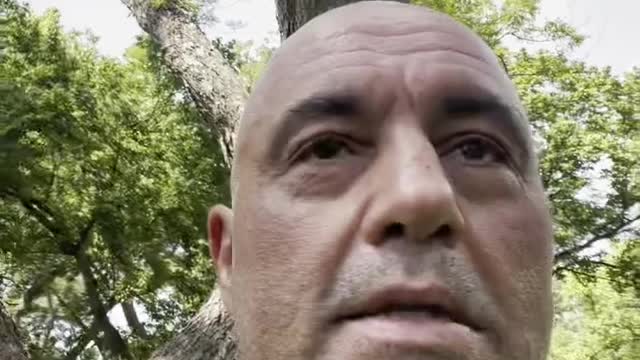 Petitions have been started to ban Joe Rogan