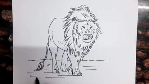 How to draw Lion Drawing // Easy Drawing