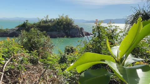 5/15 - Guiando você pelo paraíso: Praia da Ponta dos Ganchos em Governador Celso Ramos