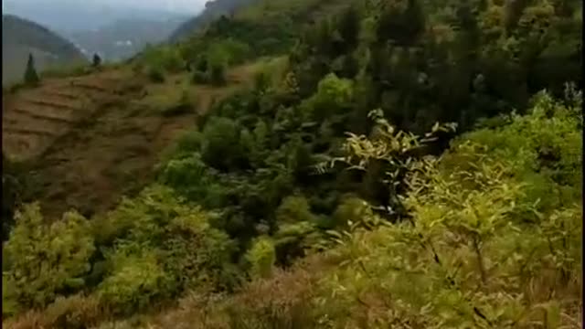 scenery