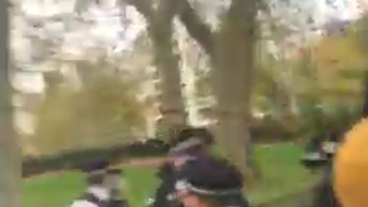 TOMMY ROBINSON ARRESTED HATUNS FLOWERS #SUNDAYROAST