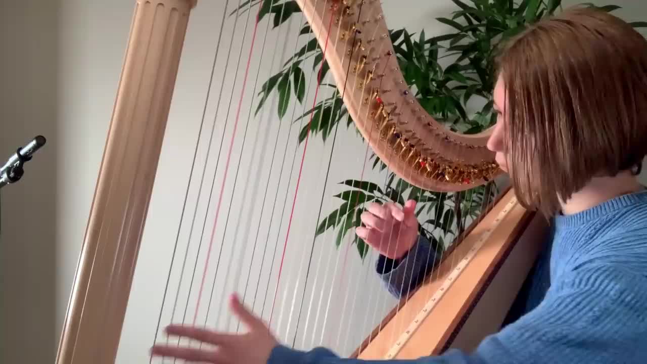 Guitarist Plays Harp - My 1 Year Self-Taught Progress Video