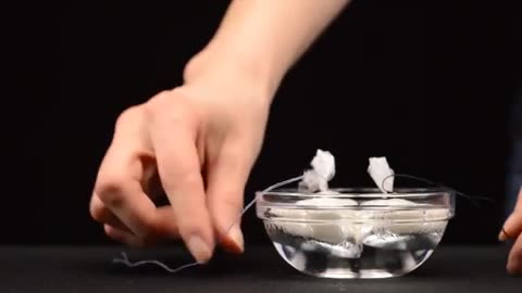 These 30 salt and sugar experiment & trick will blow your mind