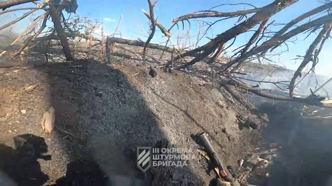 Must-See Footage of a Ukrainian Assault Near Bakhmut